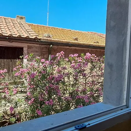 Palazzo Renzi Villa Capraia